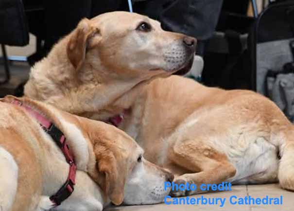 Doggy Whats On Kent Calendar