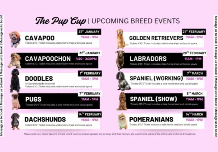 Dog Friendly Kent Weekend Guide 21 March 2026 22 March 2026